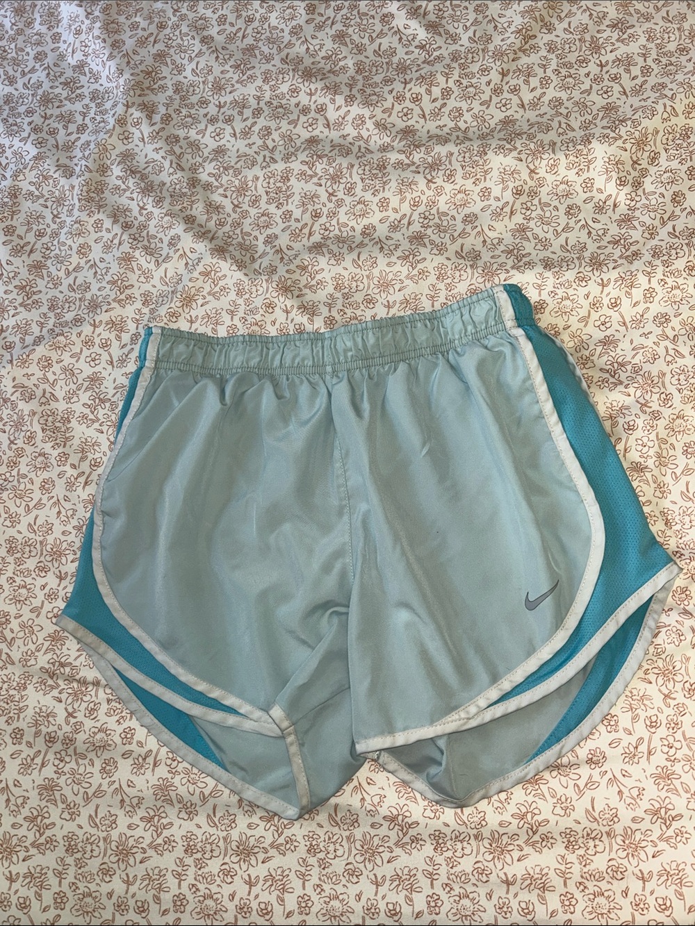Nike Women's Light Aqua and Teal Athletic Shorts